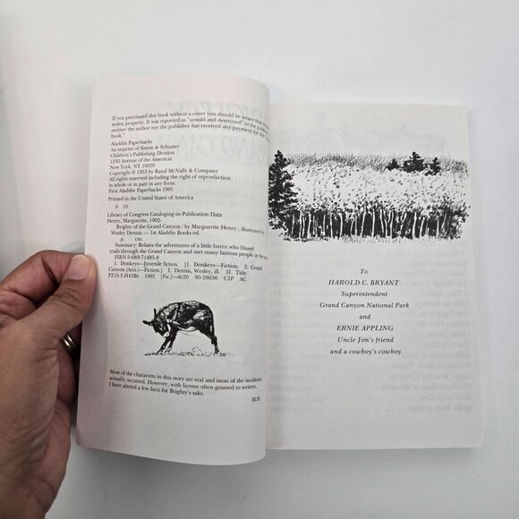 Marguerite Henry 3 Book Lot Horses Animal Books King of the Wind Mustang Brighty - Picture 9 of 12